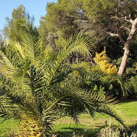 St Raphael Studio 30m2 Climatise 3 Personnes Pisci Apartman